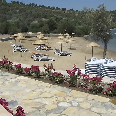 Horizon Sky Lemon 5 Kıyıkıslacık